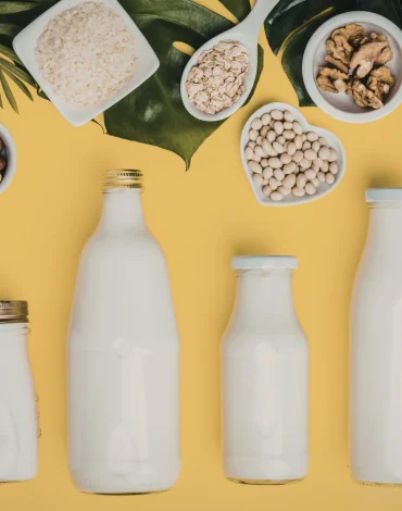 Bitkisel Süt Dosyası